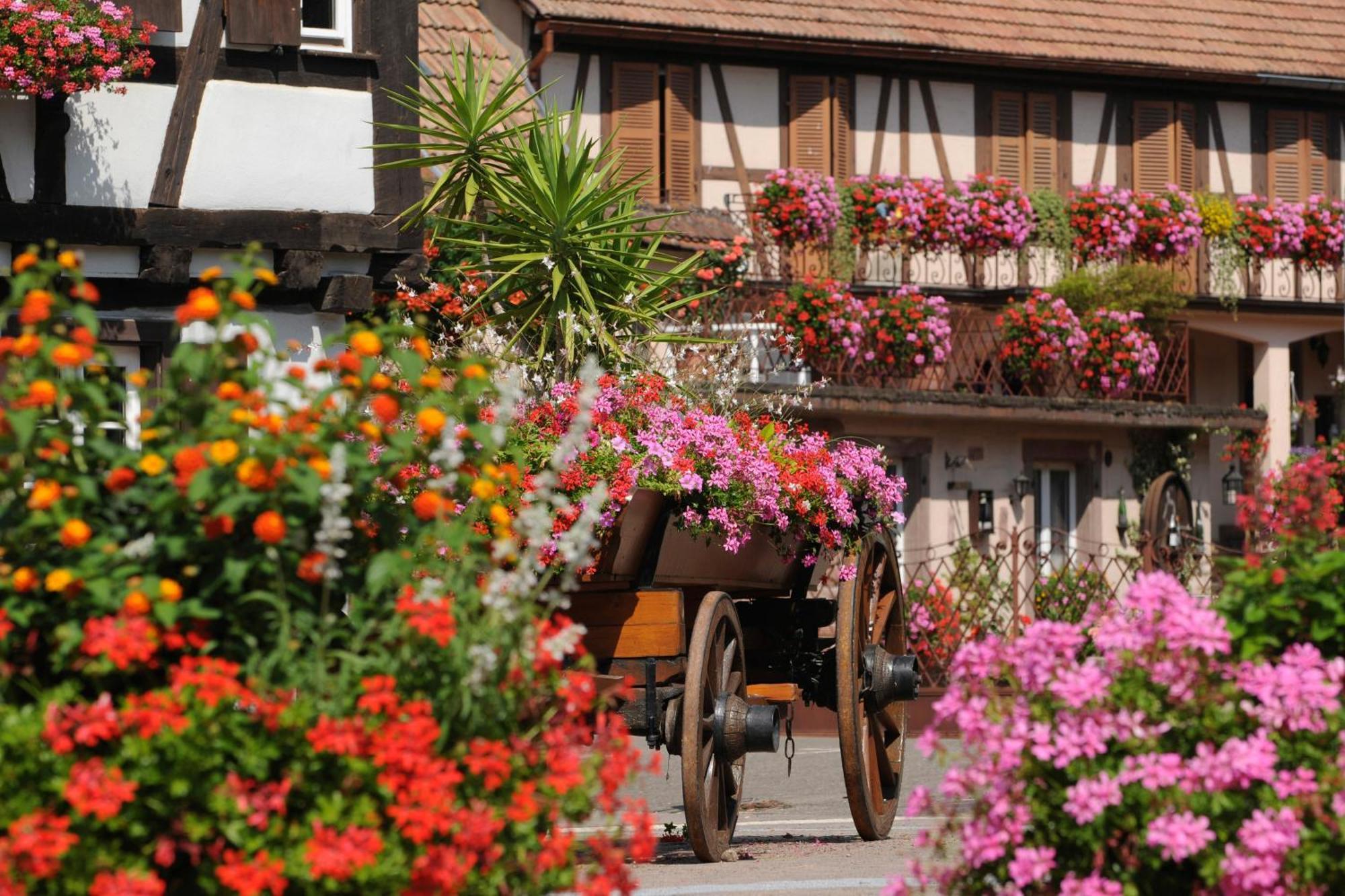 Gite Jeanne Familial - Calme - Parking Ebersheim 외부 사진
